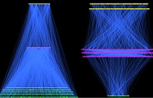 Bacterium vs Linux